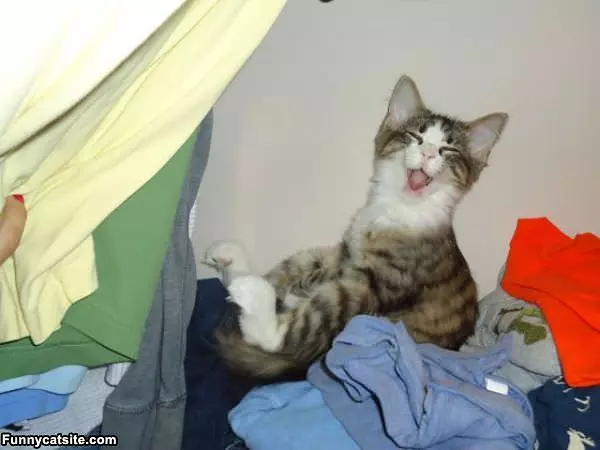 Yaaaaaawnnnn