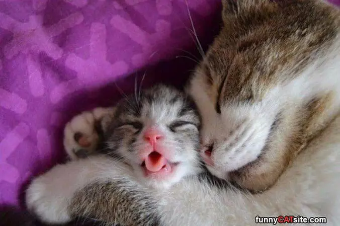 Hugging My Little One