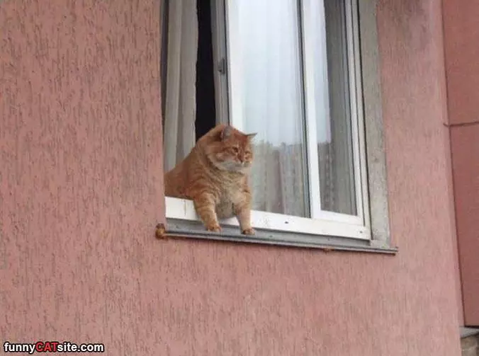 King Of This Castle