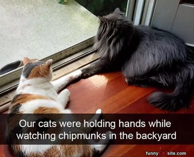 Holding Hands And Watching