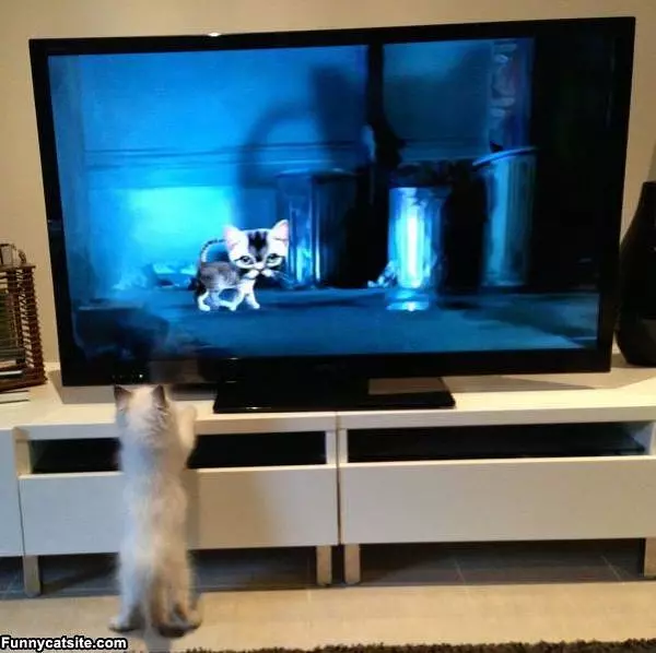 Are You My Mommy