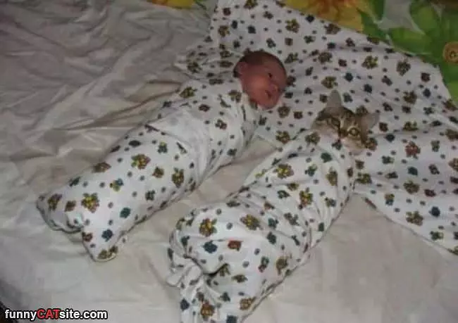 2 Burritos