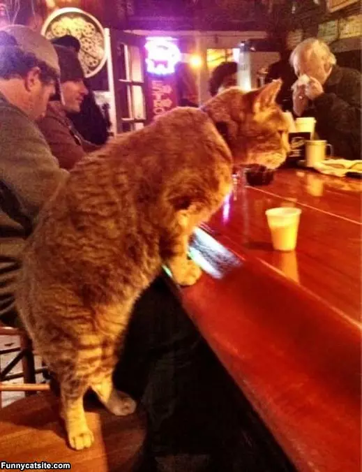 One More Please