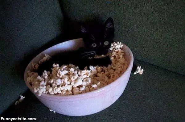 I Love Popcorn