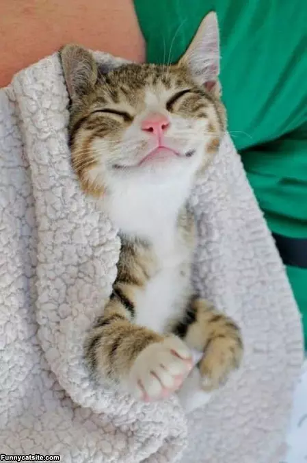Having Sweet Dreams