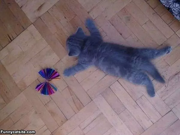 I Will Just Sleep Here