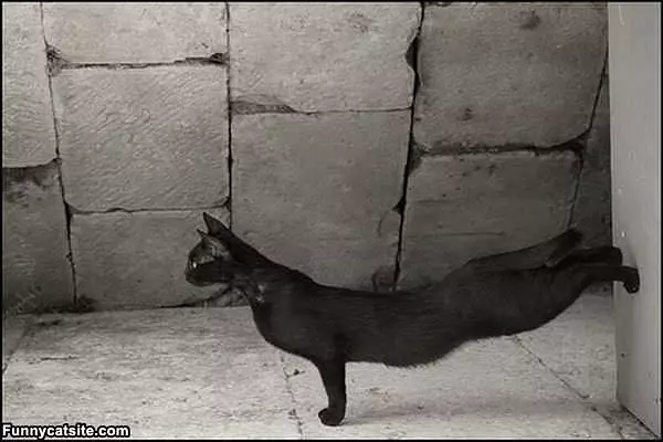 Stretching A Bit