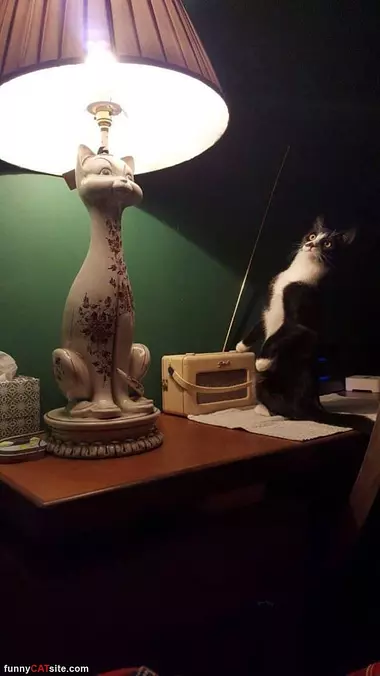 Duuuuude Are You Mocking Me