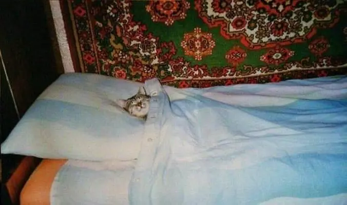 Tucked Into Bed