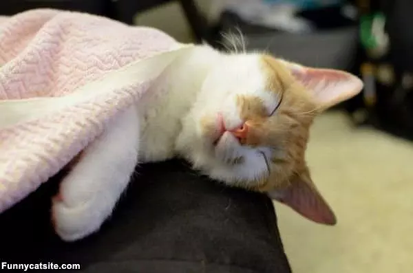 Under My Warm Blanket