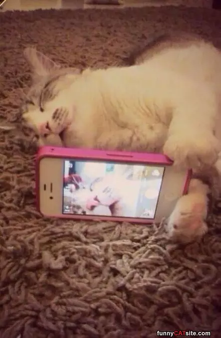 This Camera Is Boring