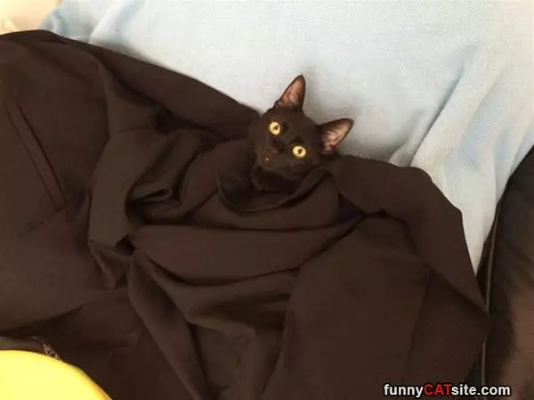 In Hiding