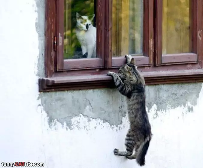 Hey Cmon Let Me In