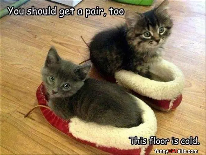 You Should Get A Pair Too