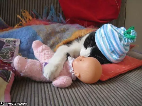 Sleeping Like A Baby