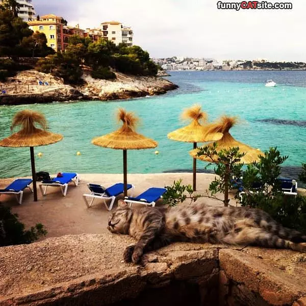 Enjoying Paradise