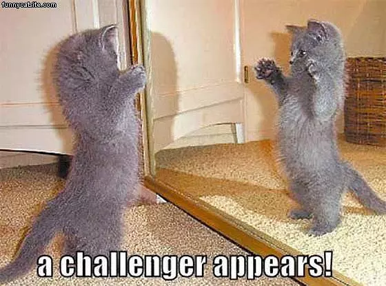Challenger Appears