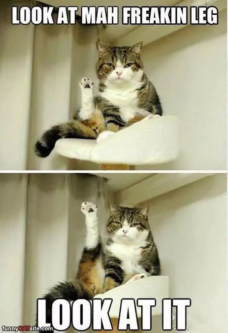 Just Look At My Leg