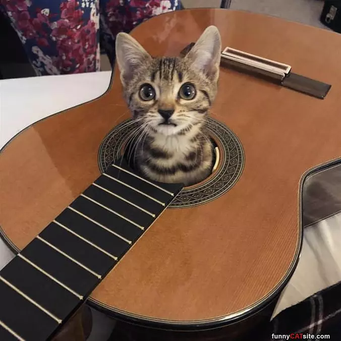 Playing Some Guitar