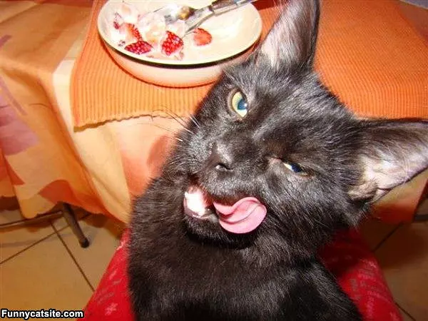 Oh This Is Delicious