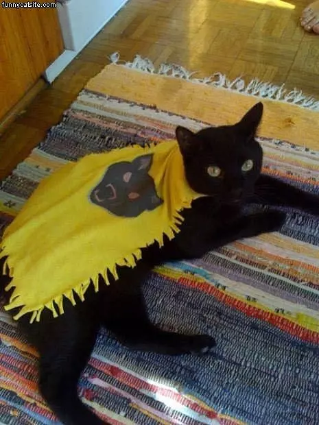 Cat Cape