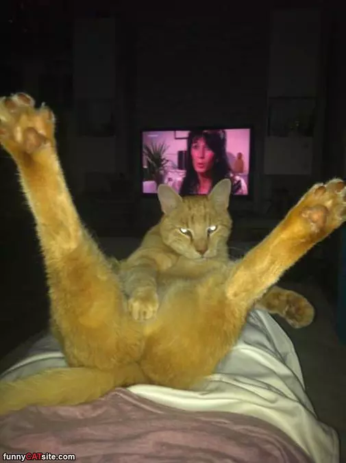 Just Relaxing Is All