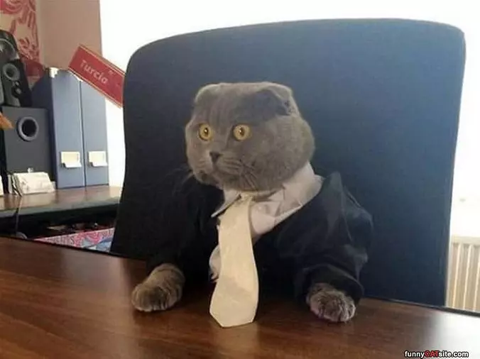 Ready For Business