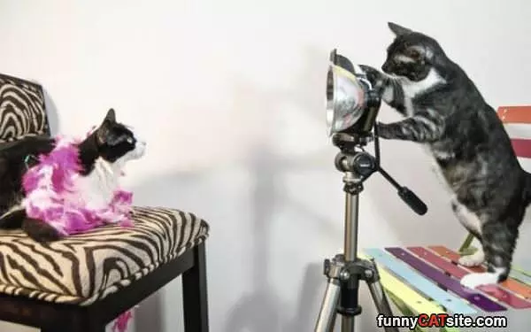Photoshoot