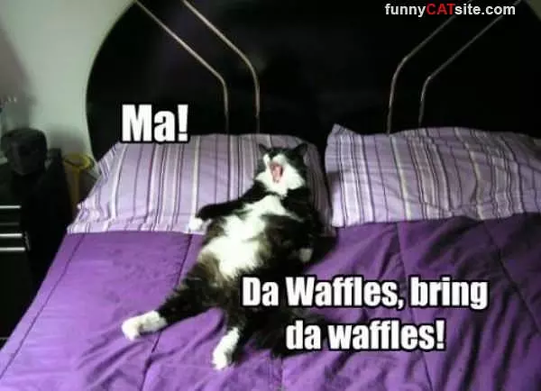 Da Waffles