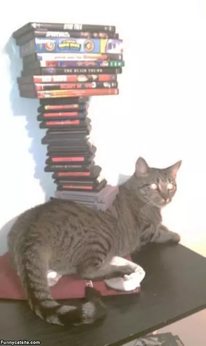 Not A Care