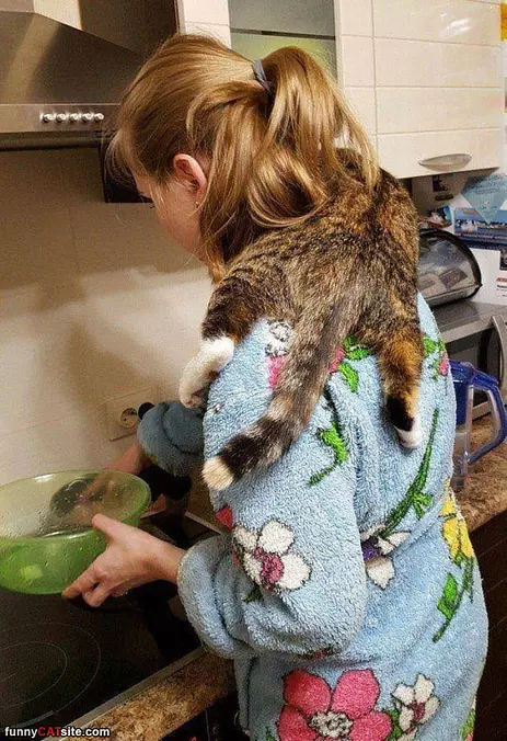 Cooking With Momma