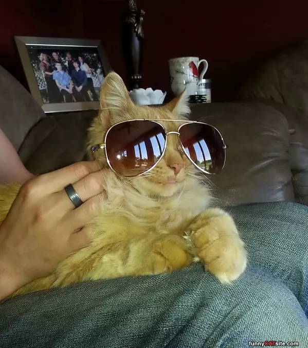 My Glasses