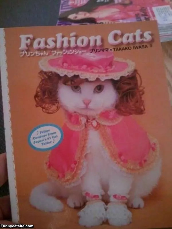 Fashion Cats
