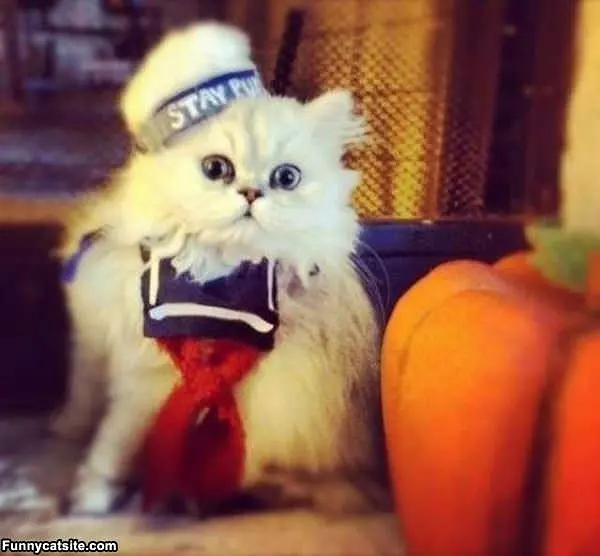 Stay Puft