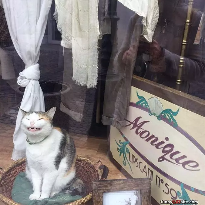 Smile