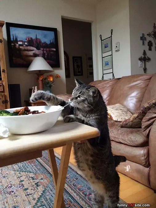 Can I Get Some