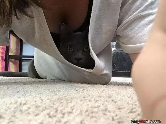 Hiding In Here