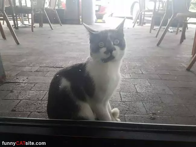 Hey Can You Let Me In