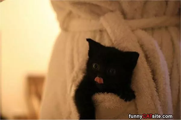 I Like This Robe