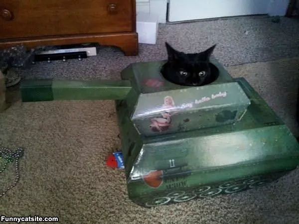 Battle Cat