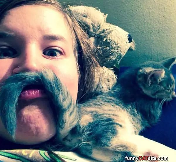 My Cat Mustache