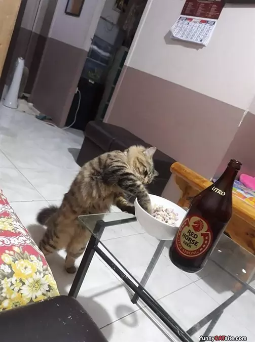 Grabbing A Snack