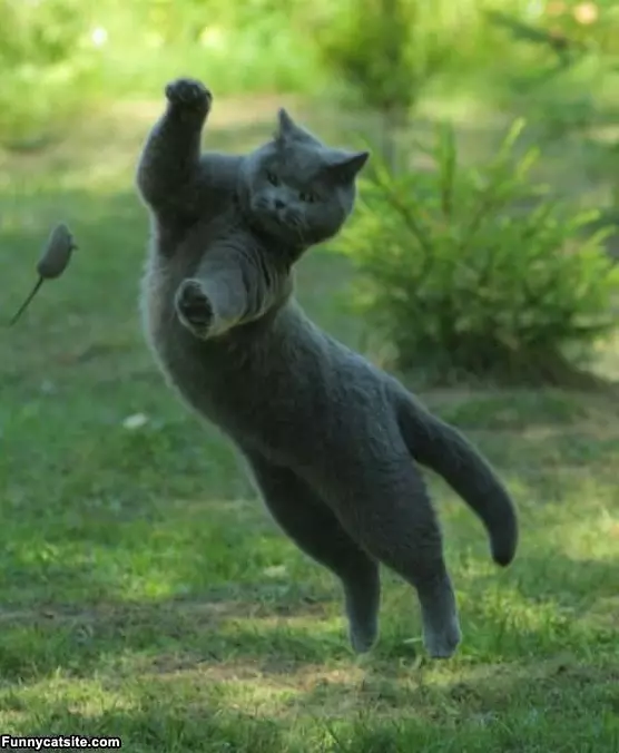 Flying Jump Attack