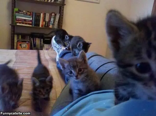 We Are All Watching You