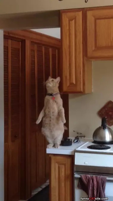 Standing Up Tall