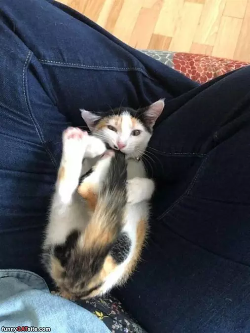 I Caught It
