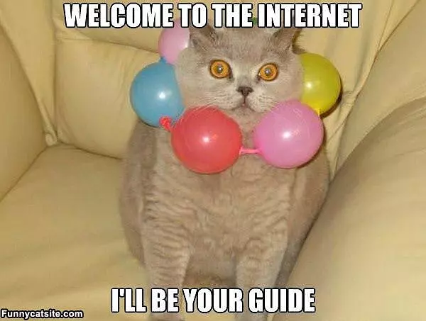 Welcome To The Internet