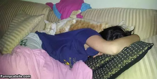 Nice Place To Nap