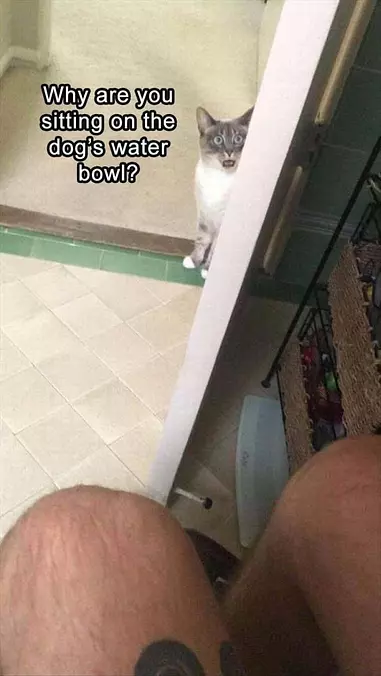 Why Are You Sitting There