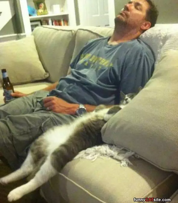 Asleep With My Human
